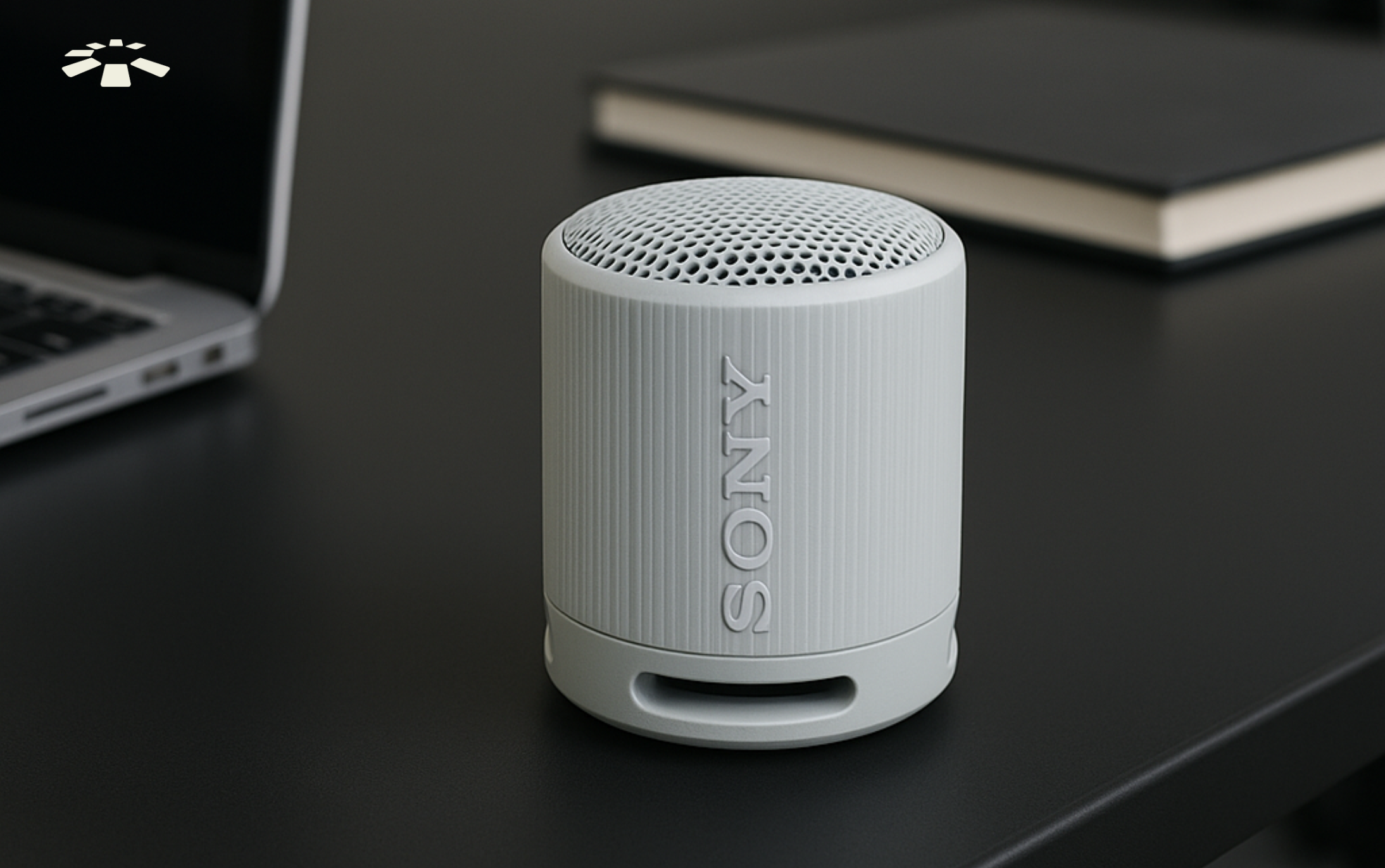 Sony speaker